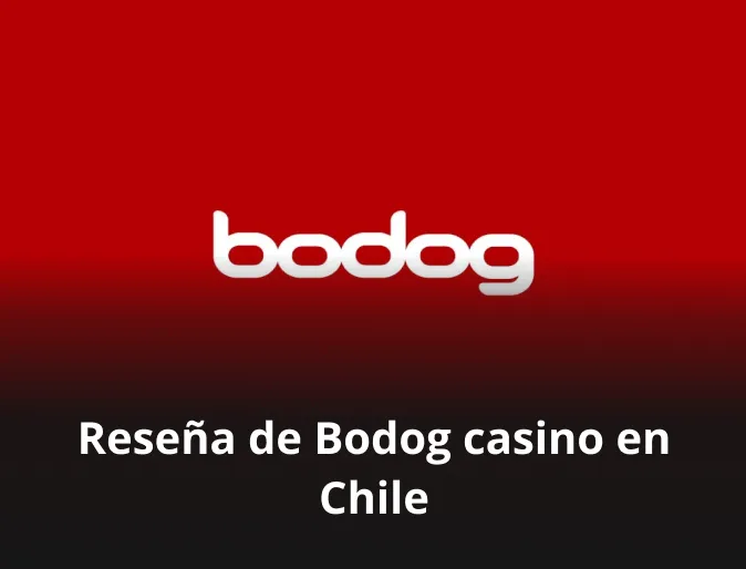 Reseña de Bodog casino en Chile